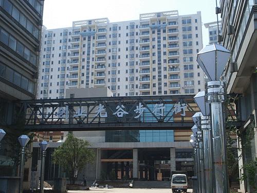 ���ҷ��Ƽ�������ѵ����